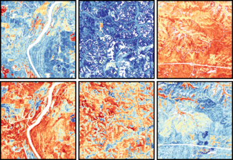 Mapping Plant Functional Diversity from Space: HKU Ecologists Revolutionise Ecosystem Monitoring with Novel Field-Satellite Integration